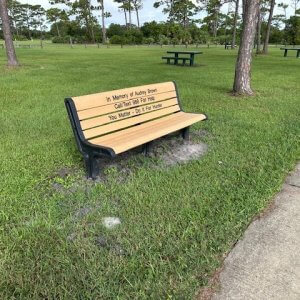 bench