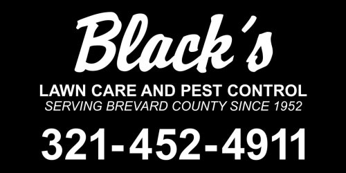 Blacks Lawn Care and Pest Control 3214524911